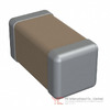 1206J6300273KXT Image