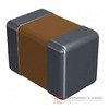 MT21B224K250CT Image